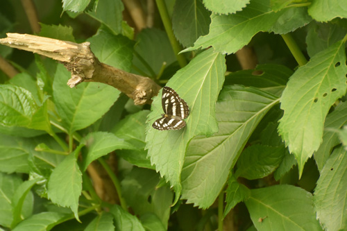f0206939_16414141.jpg