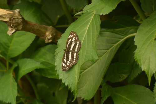 f0206939_1642541.jpg