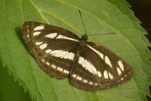 f0206939_16434672.jpg