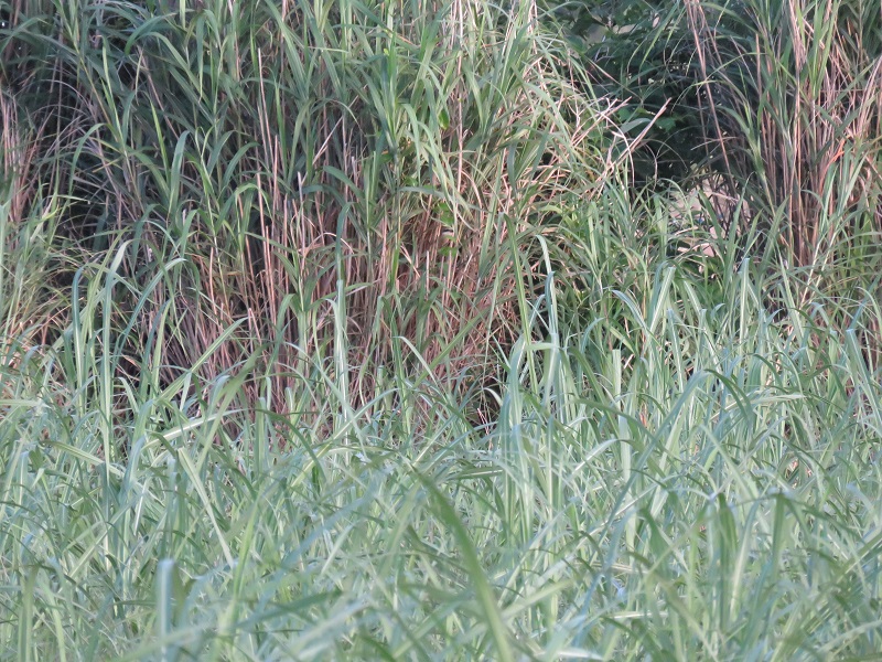 b0288942_729944.jpg