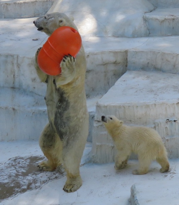 f0002743_2201368.jpg