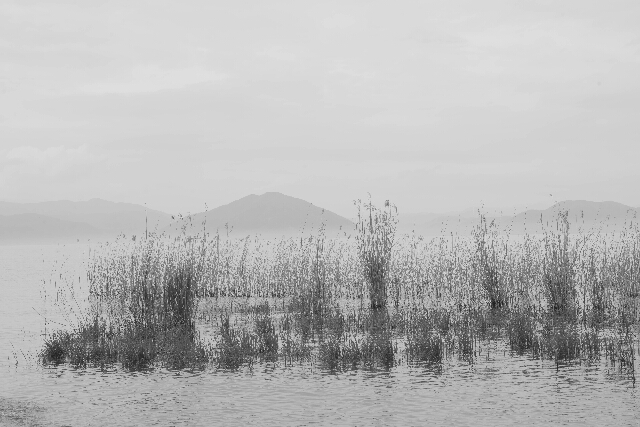 f0158043_2243248.jpg