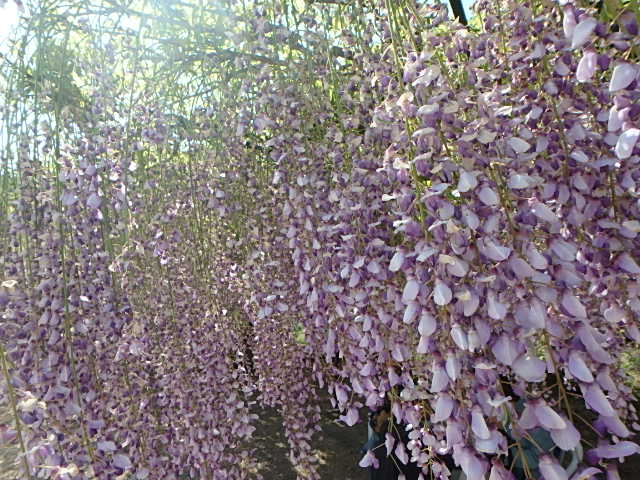 f0334143_21331059.jpg