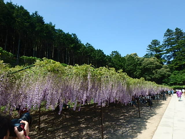 f0334143_21333415.jpg