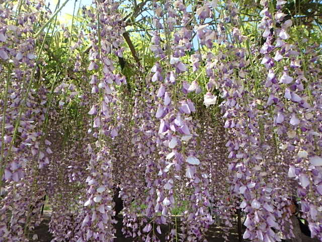 f0334143_2133378.jpg