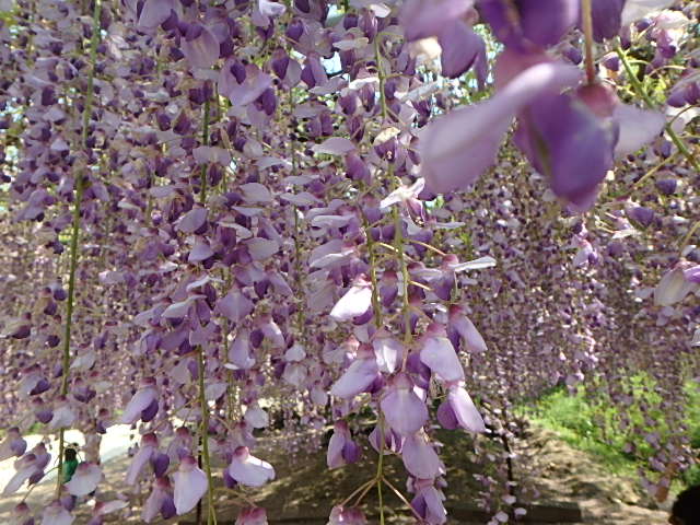 f0334143_21335311.jpg