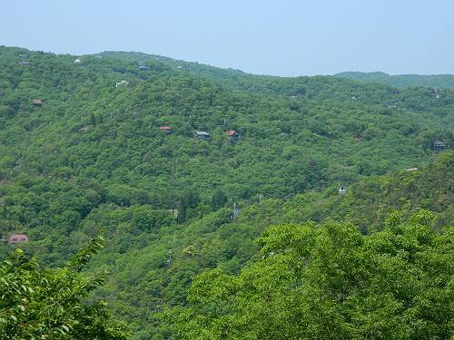 b0218444_19520784.jpg