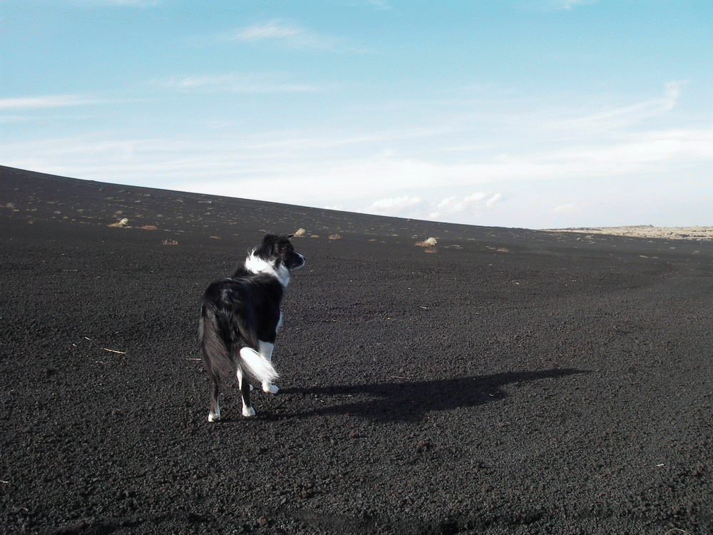 e0128144_5243565.gif