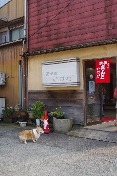 f0045846_7444023.jpg
