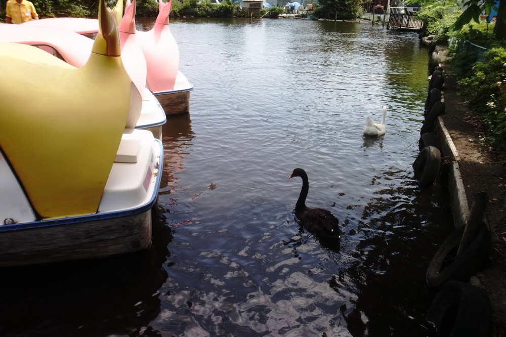 e0009147_21181071.jpg