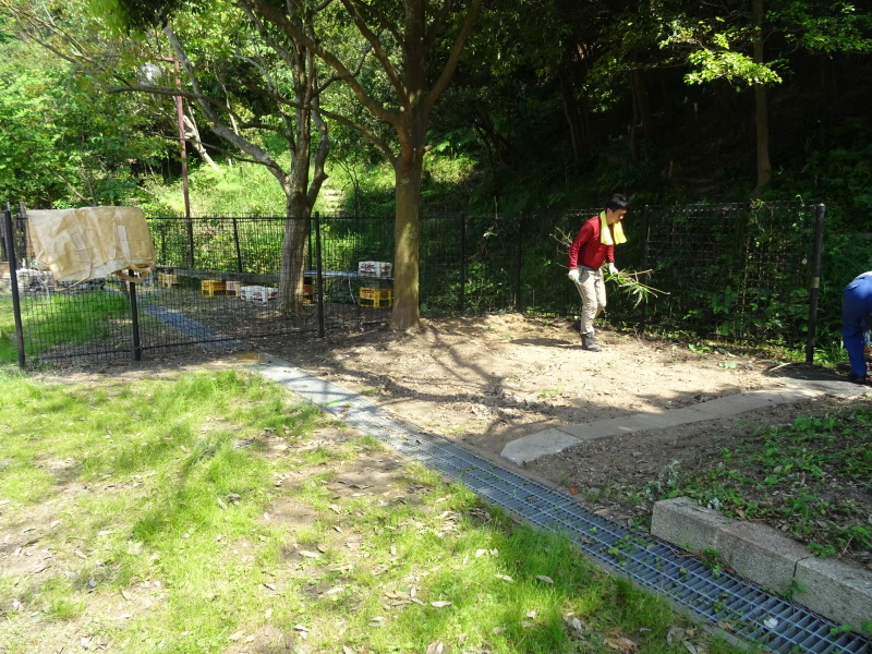 ヘビやムカデと闘いながらの作業 in うみべの森_c0108460_23060187.jpg