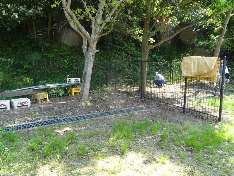 ヘビやムカデと闘いながらの作業 in うみべの森_c0108460_23060436.jpg