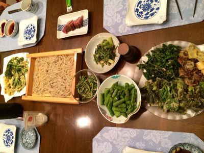 今年も山菜食べ過ぎの巻_c0151965_18421616.jpg