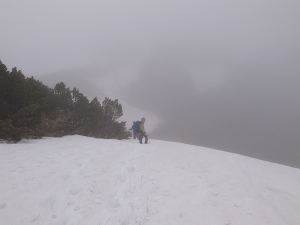 天頂山　【 初めてのヤブ漕ぎアドベンチャー(^▽^;)　初登頂　】_f0054366_21170361.jpg