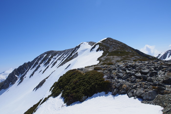 残雪の立山へ　　- part 5 -_e0307372_16181738.jpg