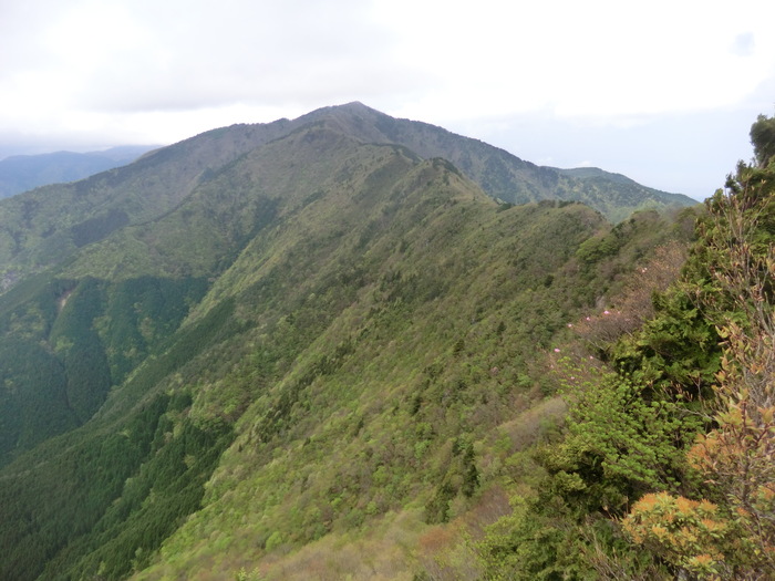 b0185573_15493669.jpg
