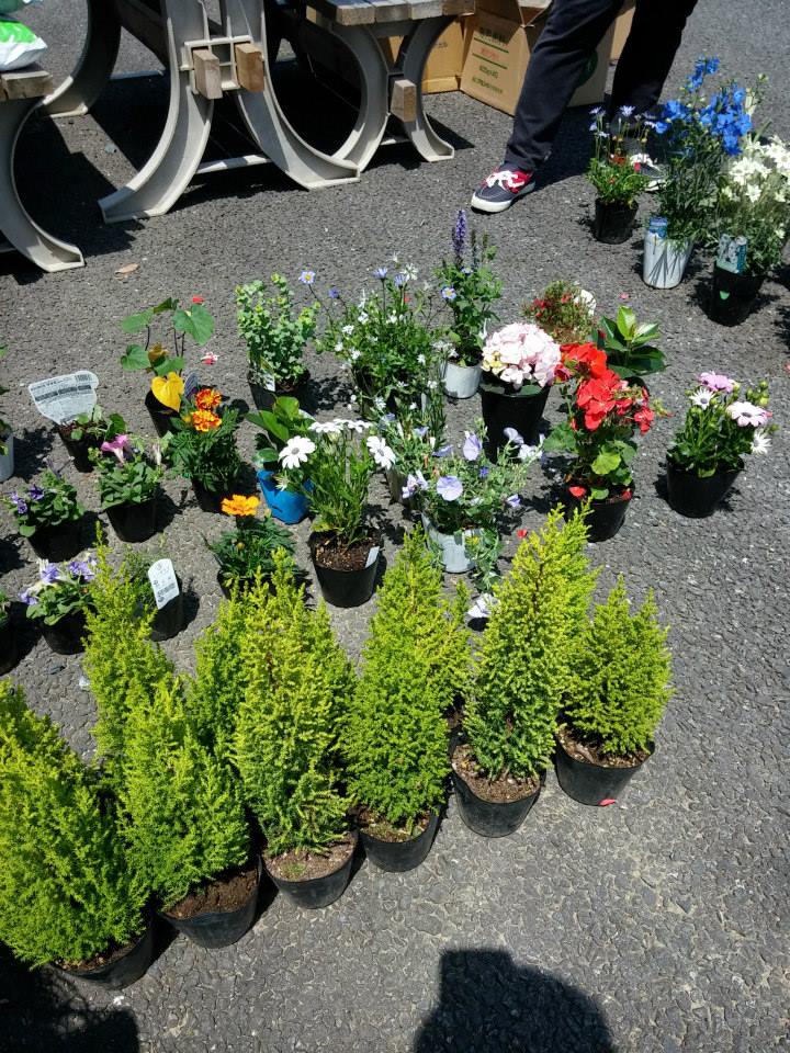 宮城県石巻市 山崎前団地仮設_d0259876_14543970.jpg