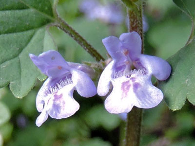 f0083977_23503128.jpg