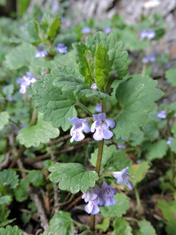 f0083977_2350760.jpg