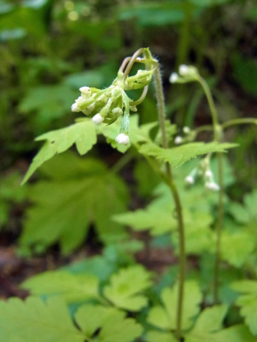 f0083977_23525740.jpg