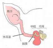 お耳掃除♪_c0245679_16590698.jpg