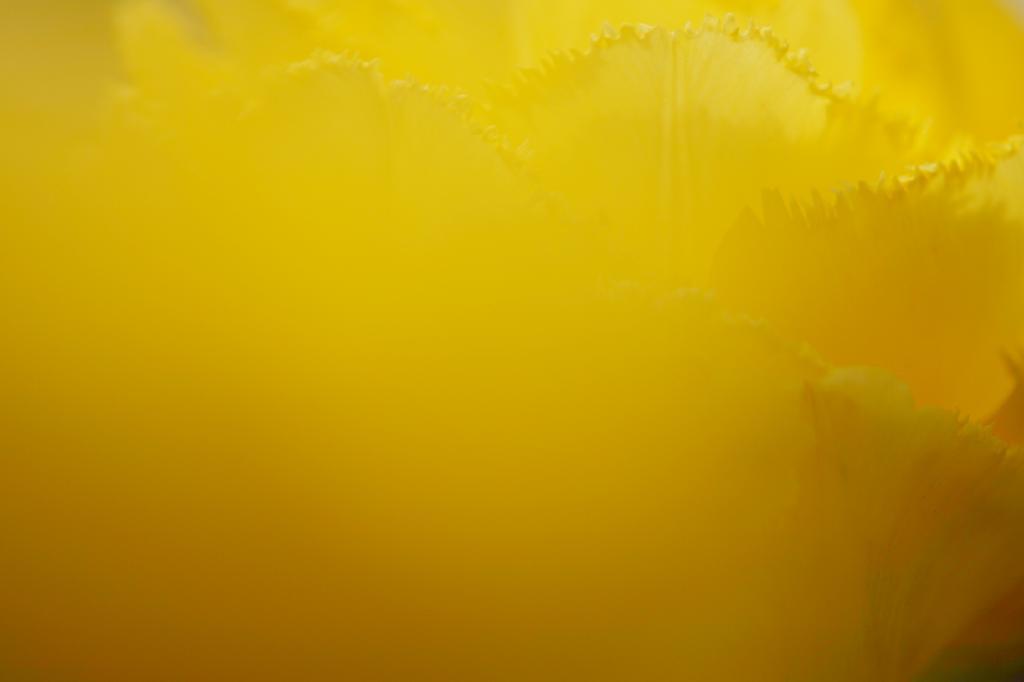 c0356480_17532892.jpg