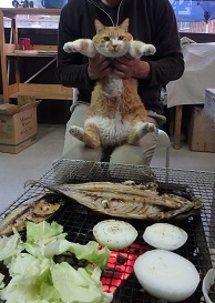 炭火焼_d0195183_482487.jpg