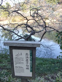 c0168984_12050944.jpeg