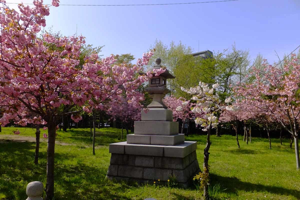 護国神社の関山_f0182885_08355191.jpg