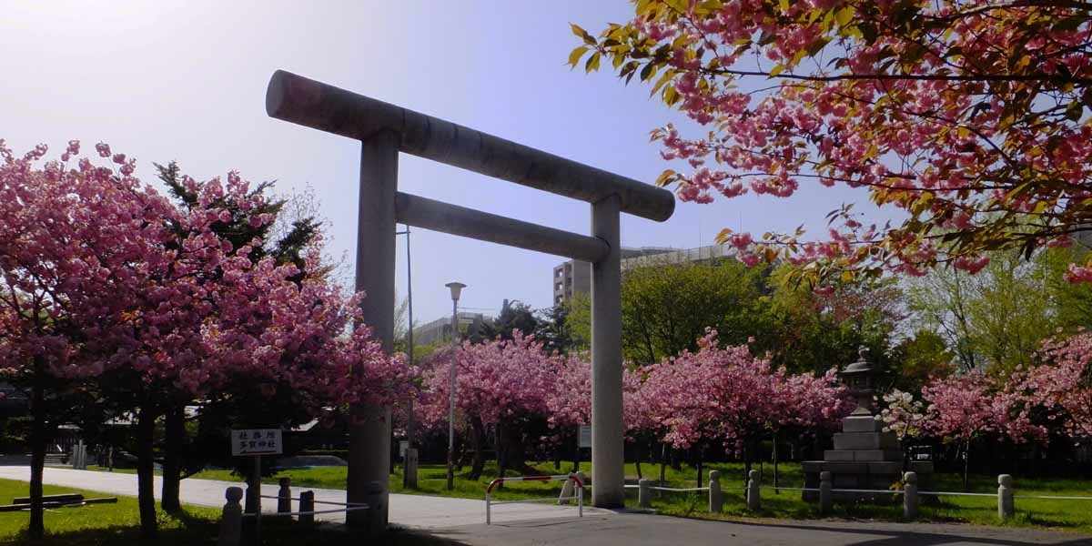 護国神社の関山_f0182885_08355193.jpg