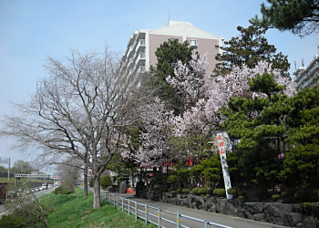 平岡公園の東側_f0078286_10512868.jpg