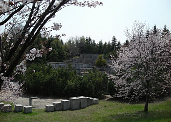 平岡公園の東側_f0078286_10531097.jpg
