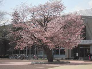 e0148889_8344549.jpg