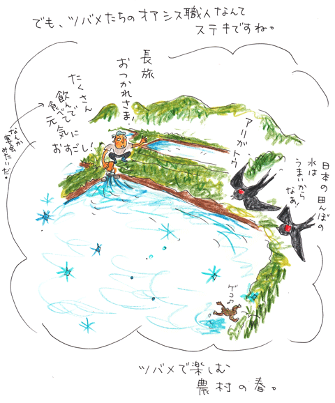 f0236291_946765.gif