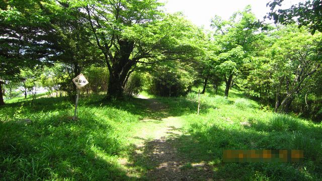 c0133096_18344449.jpg