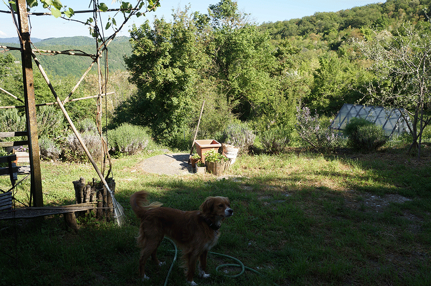f0106597_17104498.gif