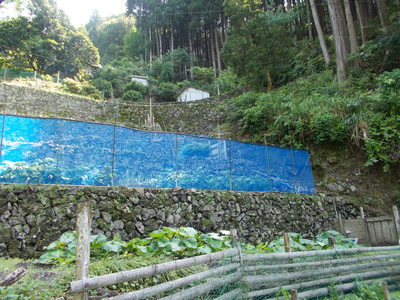 f0308898_20174731.jpg