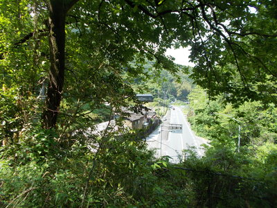 f0308898_2018235.jpg