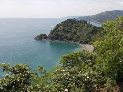 f0308898_2021144.jpg