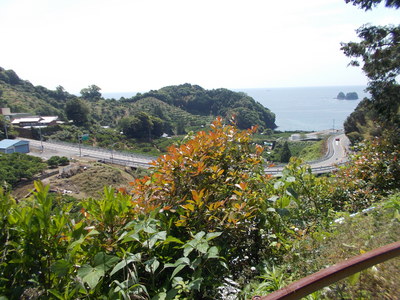 f0308898_20232838.jpg