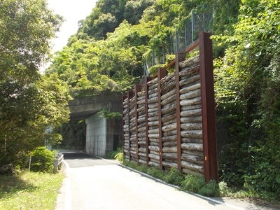 f0308898_20394499.jpg