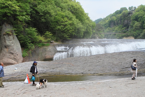 f0034602_21668.jpg