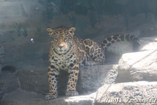a0246703_23303513.jpg