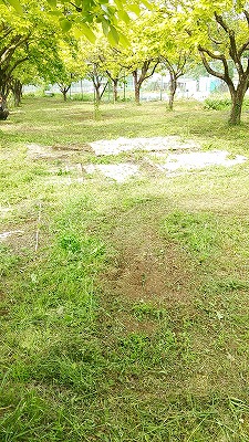 e0270403_1726553.jpg