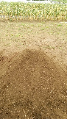 e0270403_17424740.jpg