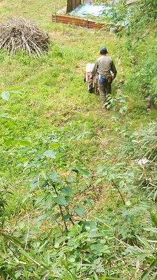 e0270403_17544293.jpg