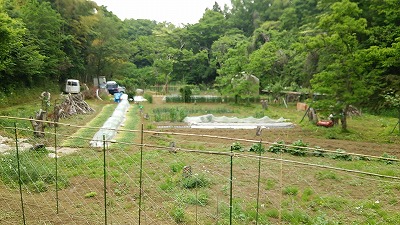 e0270403_1759790.jpg