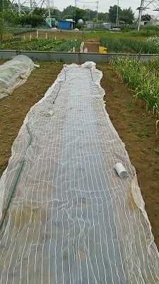 e0270403_1805870.jpg