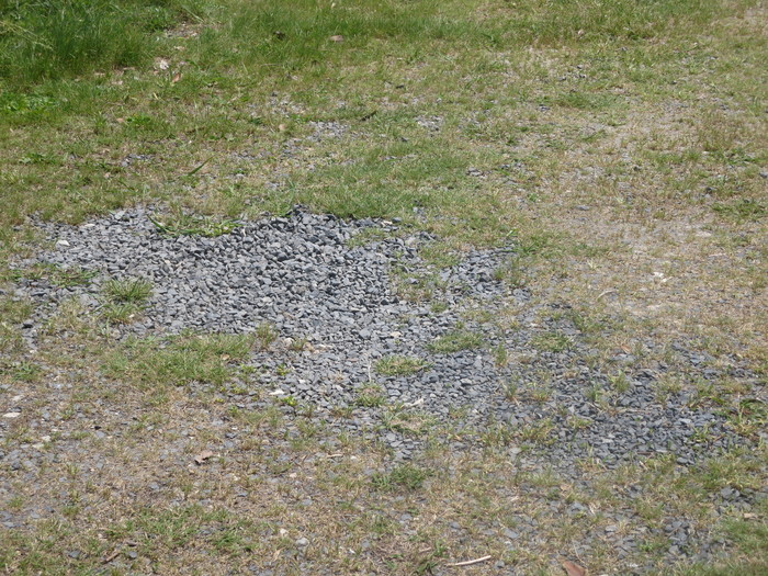 e0271803_1957570.jpg