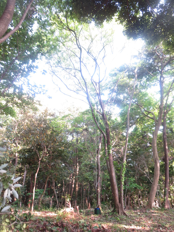 e0271803_20134595.jpg